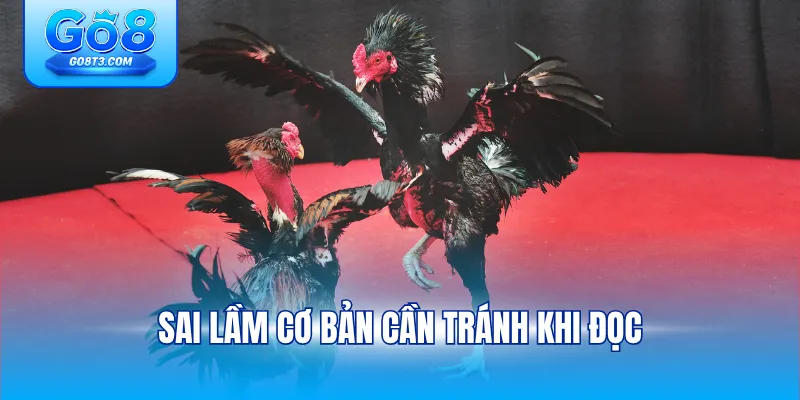 Sai lầm cơ bản cần tránh khi đọc